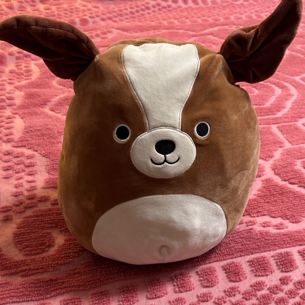 Squishmallows Brown and White Stuffed Animal